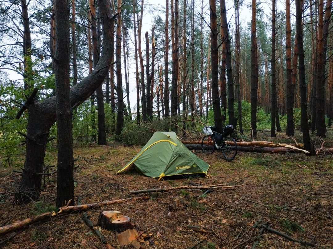 Велосипед и палатка в лесу. Дождь