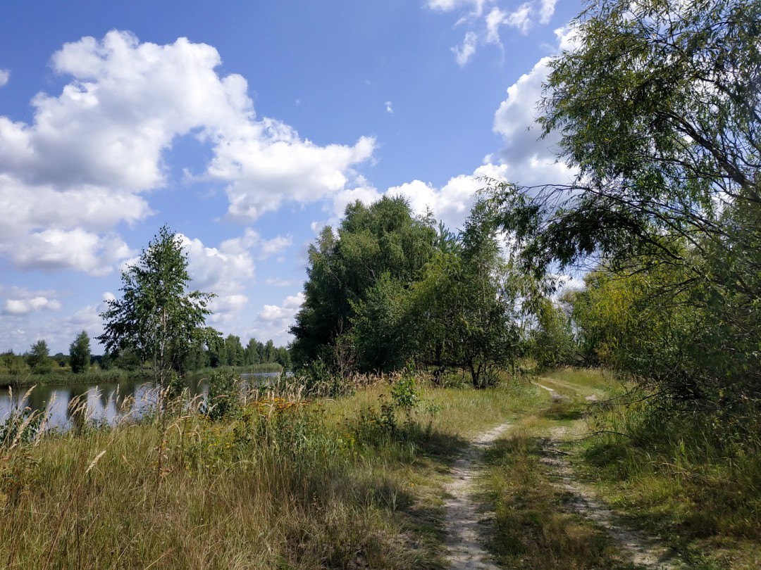 Дорожка вдоль воды