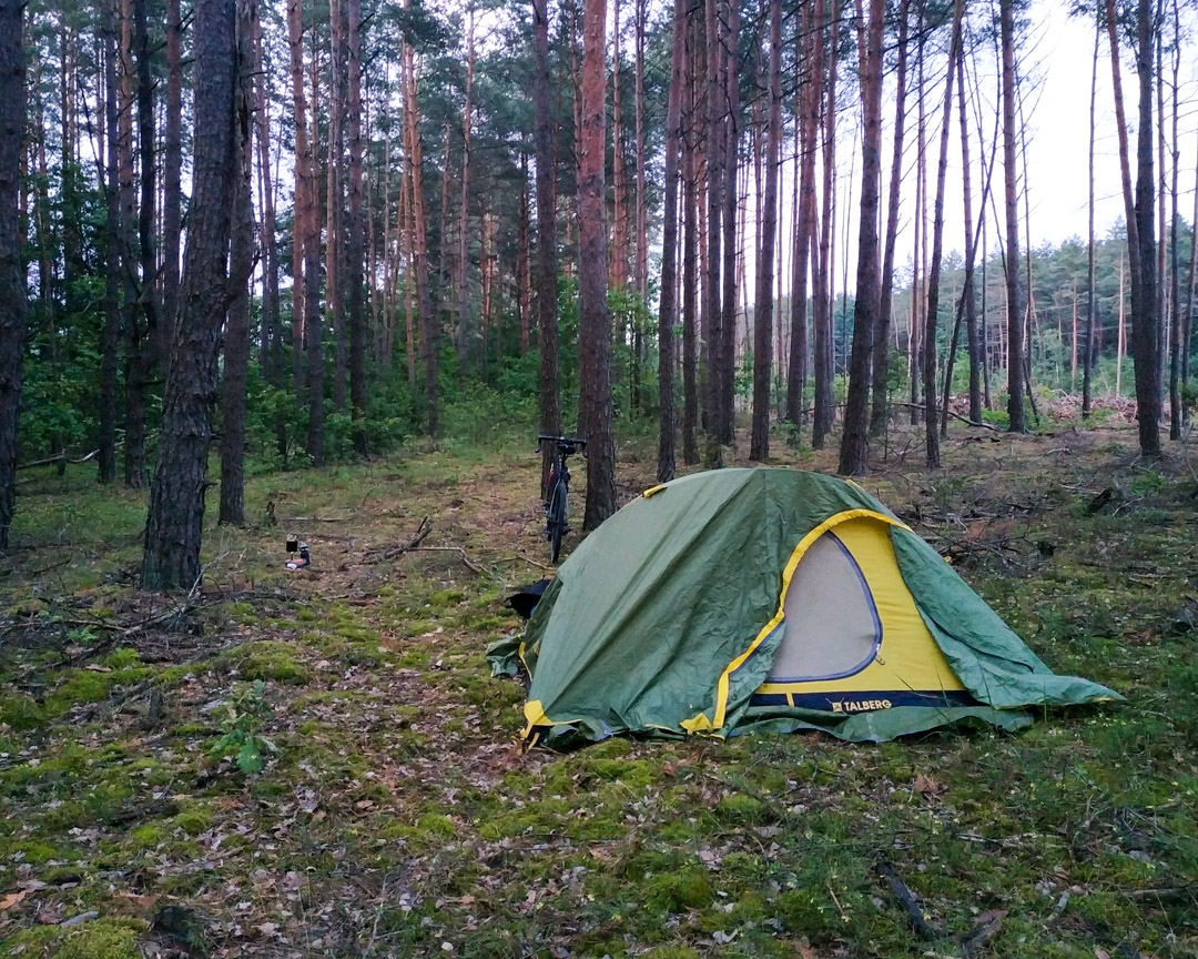 Палатка в лесу