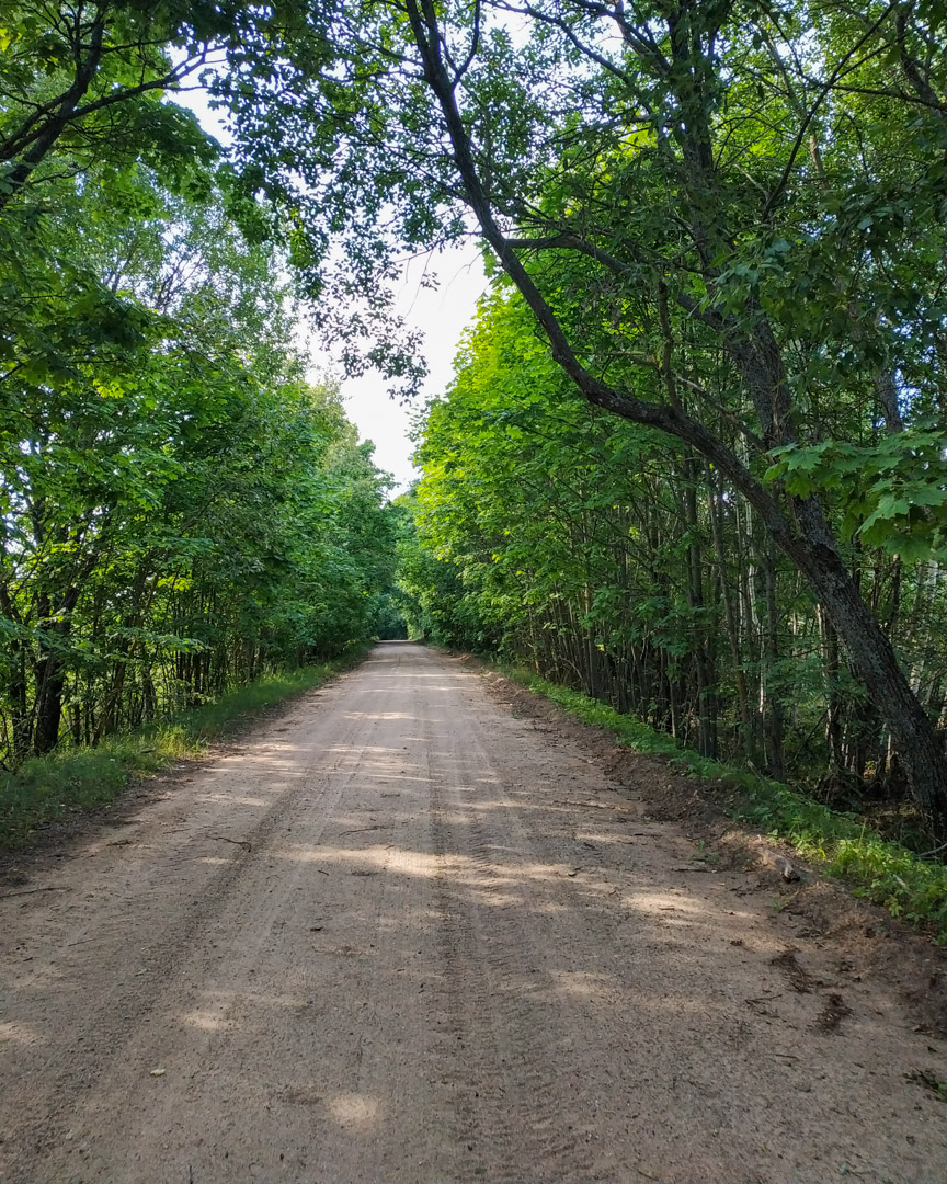 Дарога на Двор Таранковічы