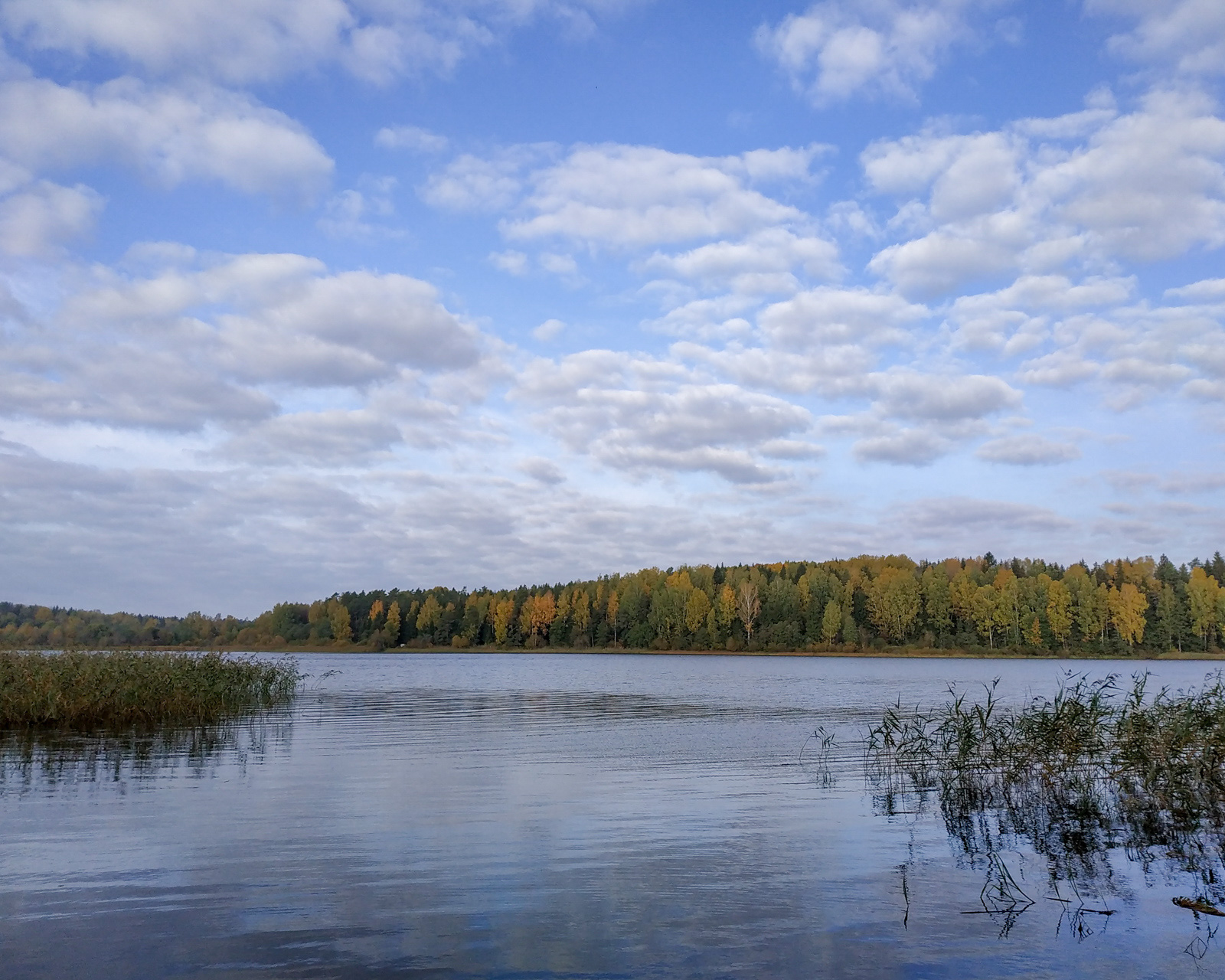 Возера Мядзесна