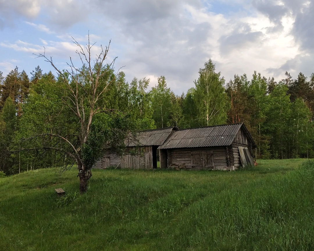 Будзішча. Старая гаспадарчая пабудова