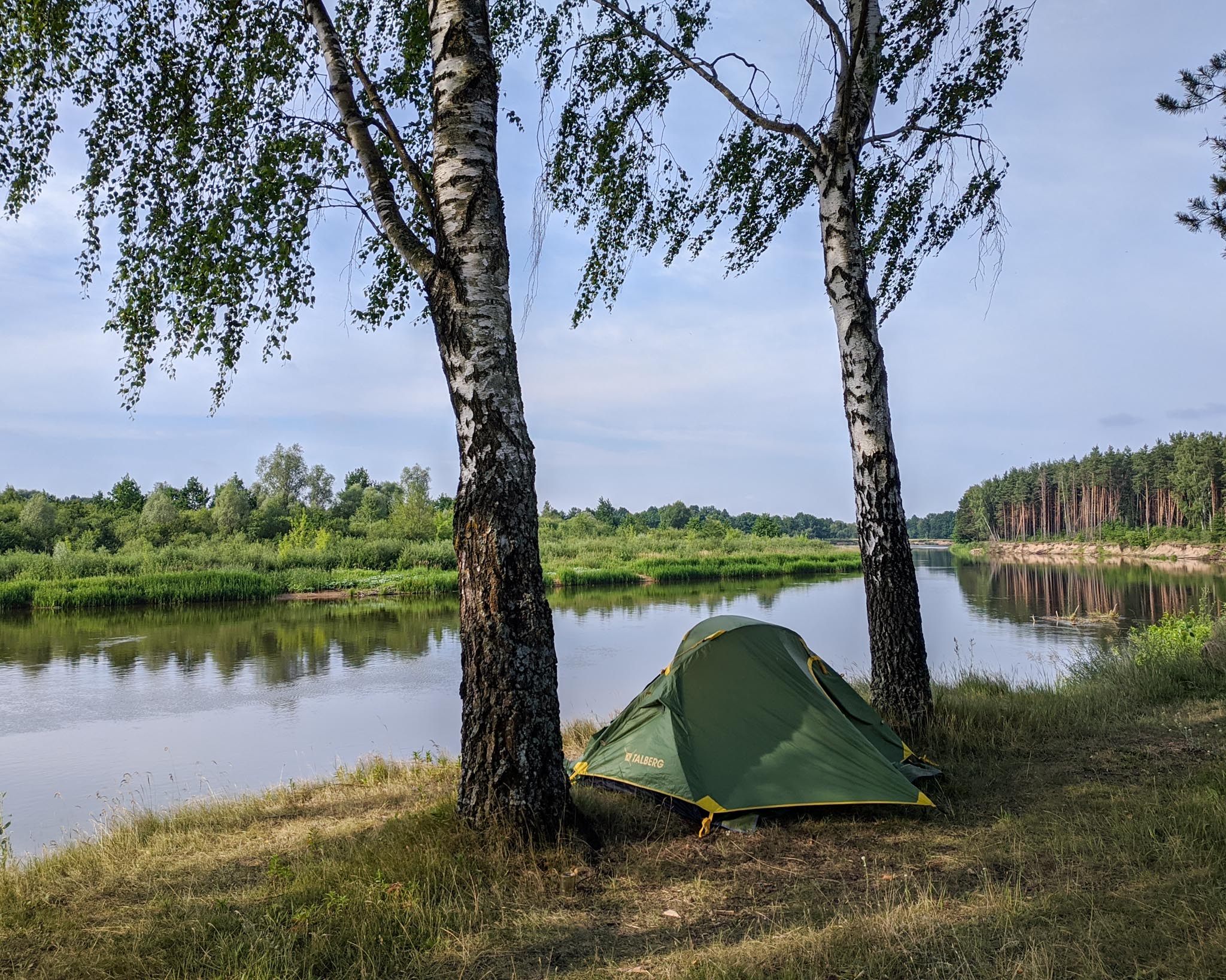 Утро на берегу реки